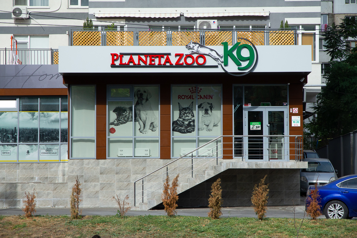 Planeta Zoo K9, Chișinău